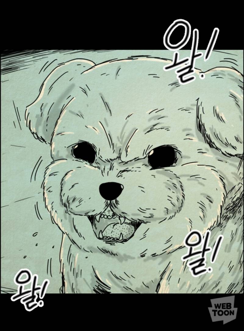 타인 강아지 너무 귀엽다ㅜ | 인스티즈