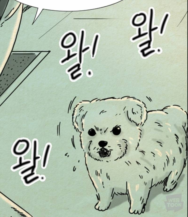 타인 강아지 너무 귀엽다ㅜ | 인스티즈