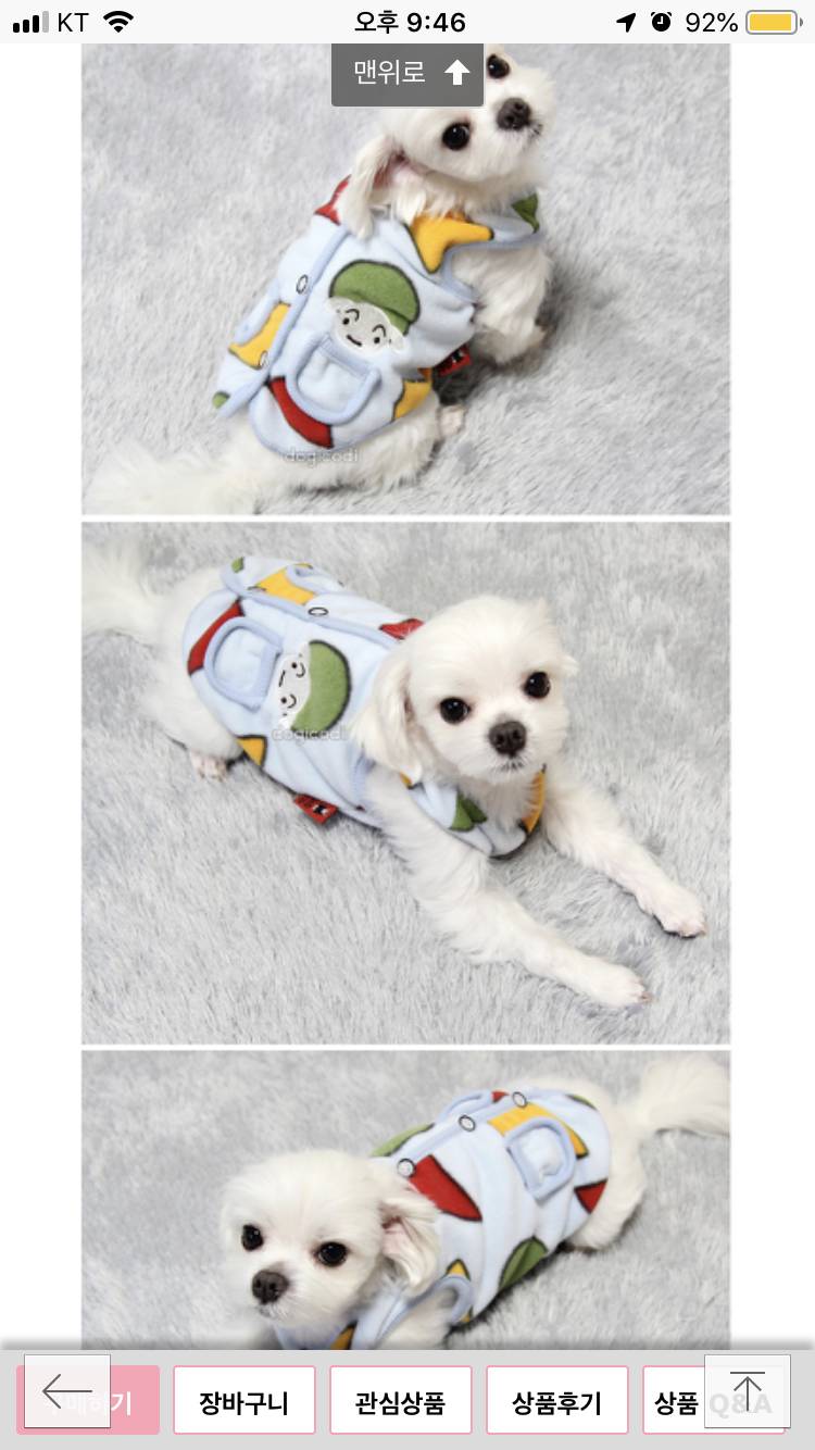 할 어뜨케ㅠㅠ 울갱얼쥐 옷골라조ㅠㅠㅠ | 인스티즈