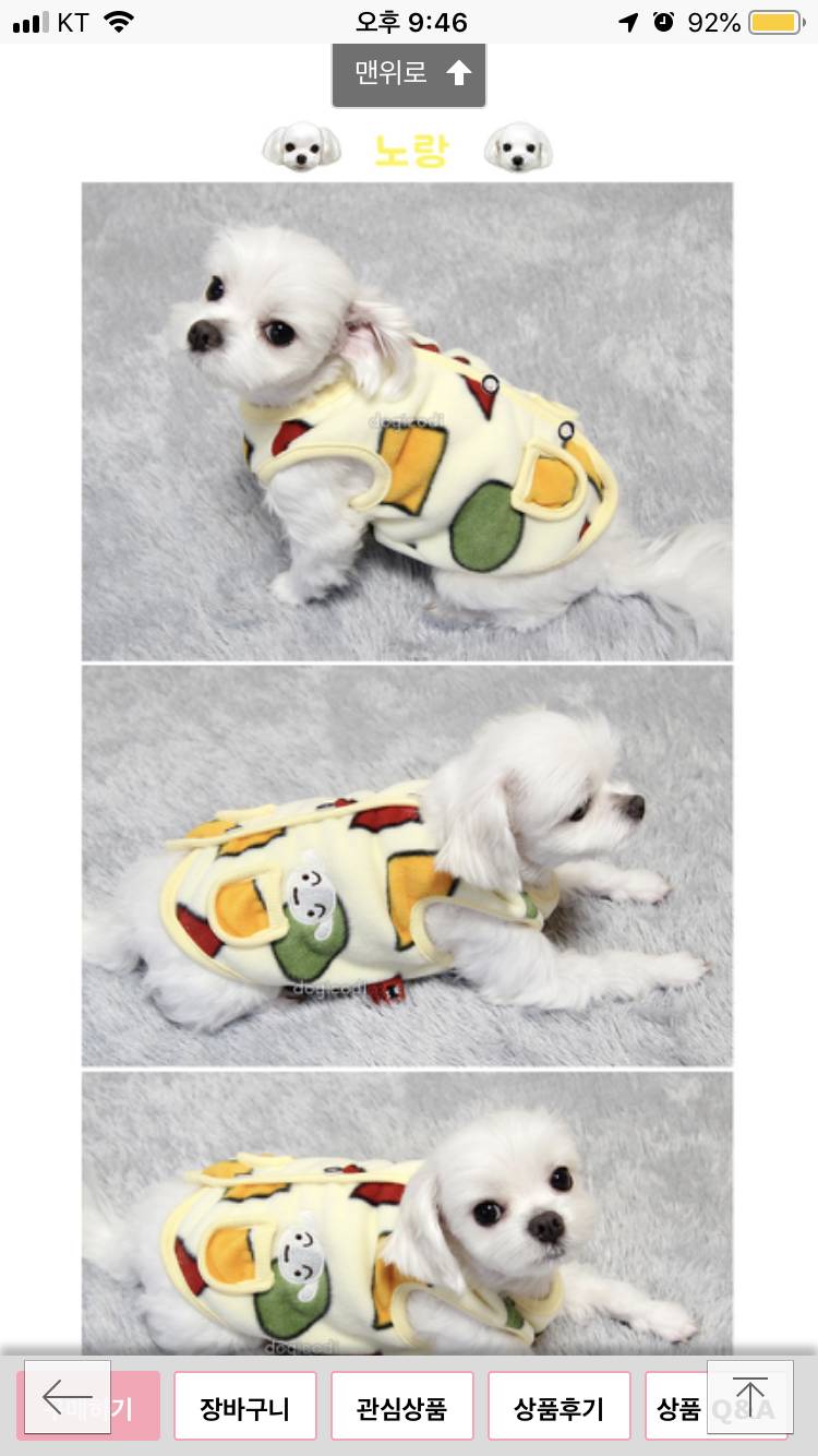 할 어뜨케ㅠㅠ 울갱얼쥐 옷골라조ㅠㅠㅠ | 인스티즈