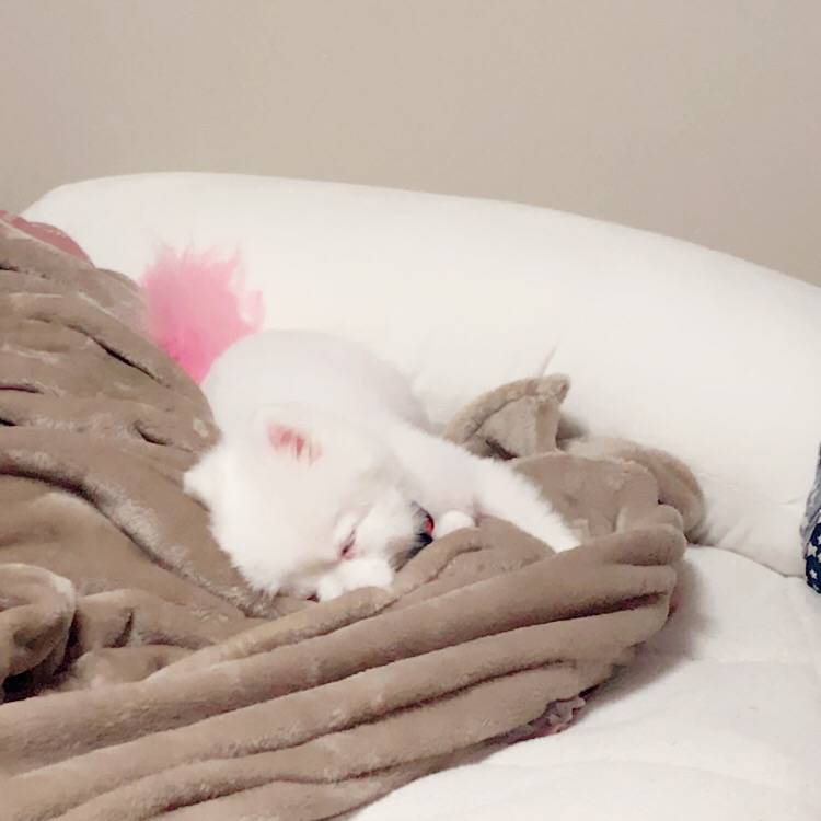 할 어뜨케ㅠㅠ 울갱얼쥐 옷골라조ㅠㅠㅠ | 인스티즈