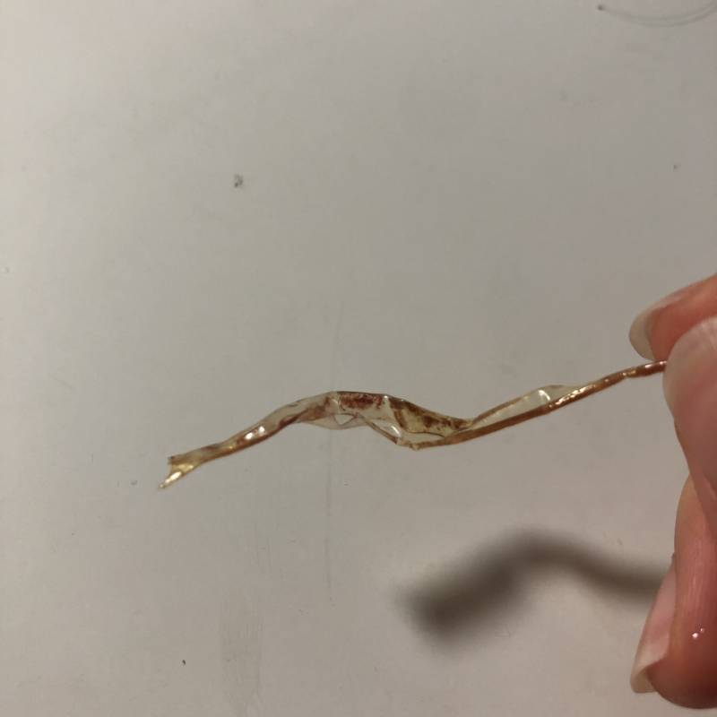 죠떡 먹다 나왔는데 이게 뭘까...? 신고해야 할까?? | 인스티즈