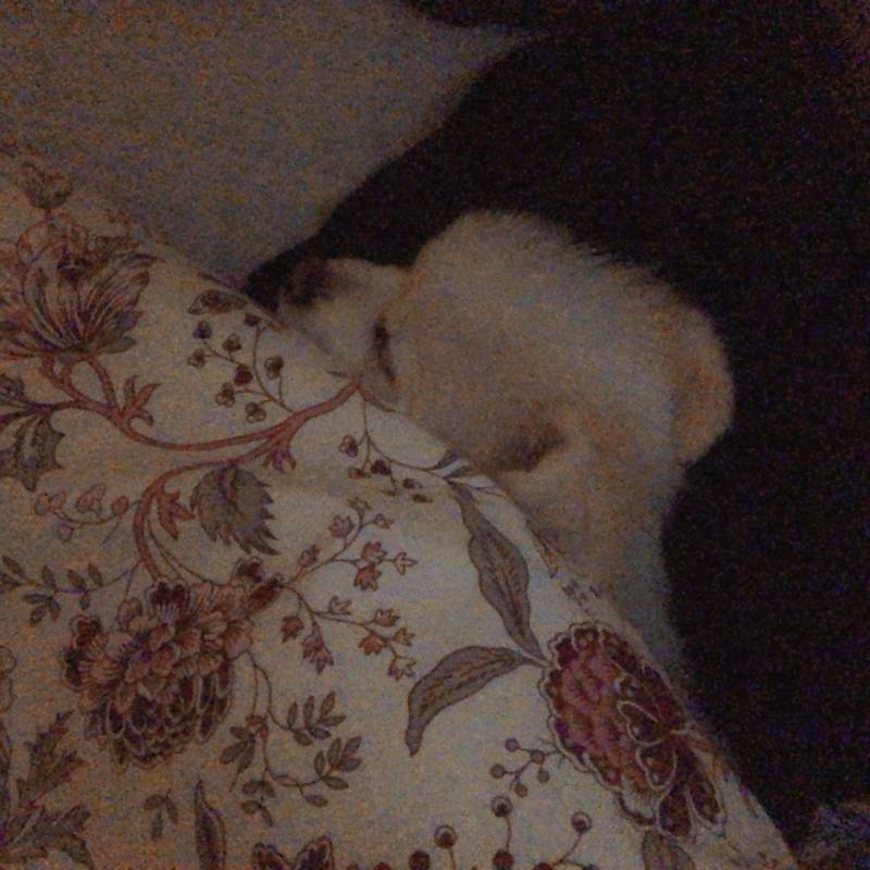 얘드라 행복 별거 없다 이런 게 그냥 바루 행복이지ㅎㅎ 40 | 인스티즈