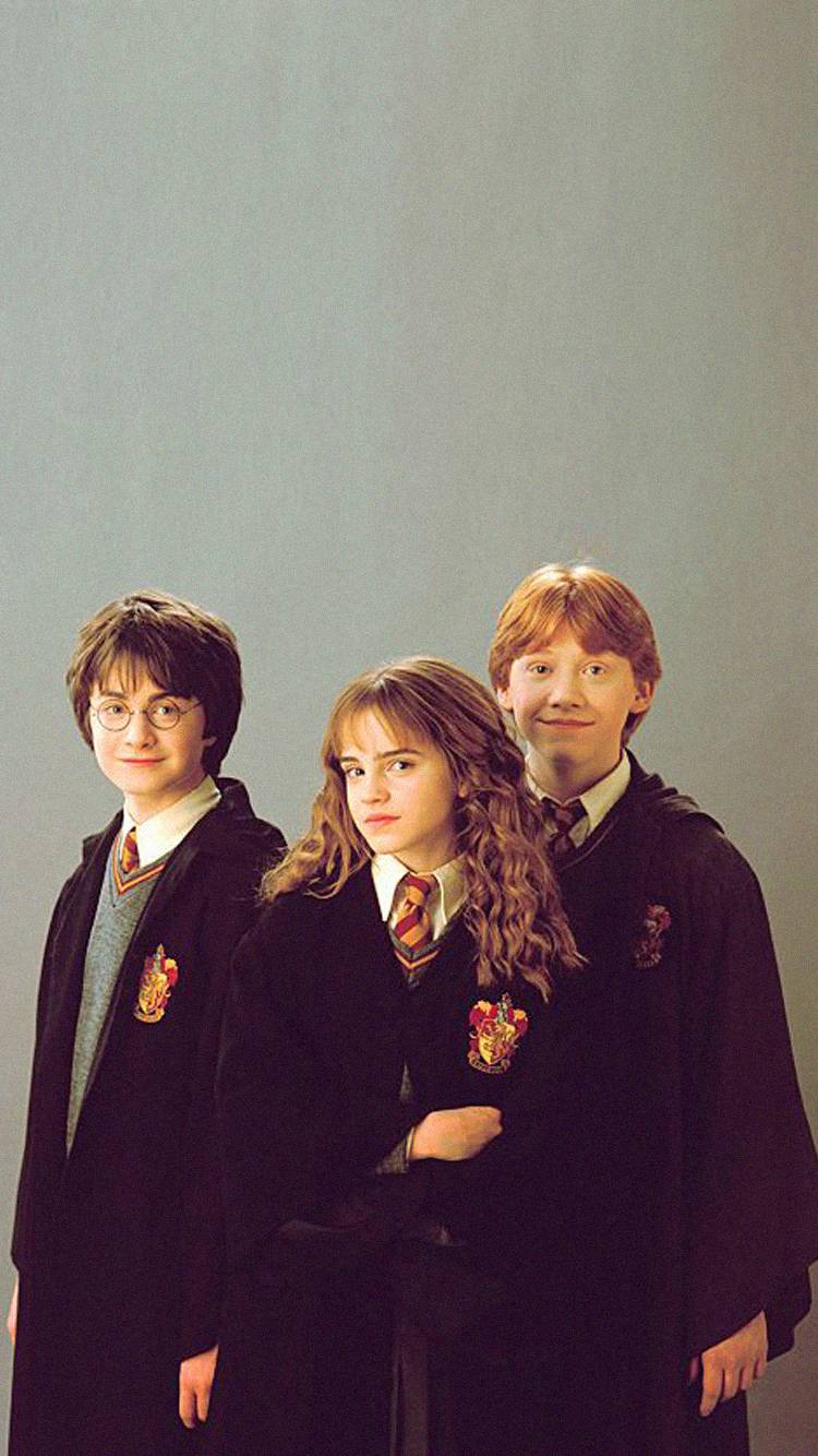 포토티켓 골라주라 111222333444555 | 인스티즈