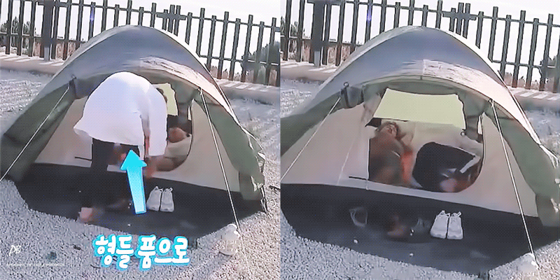 Image result for 호비 정국 텐트