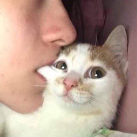 비정상회담) 위아니 살 올랐을때 알파들이 이거 자주 했을듯 | 인스티즈