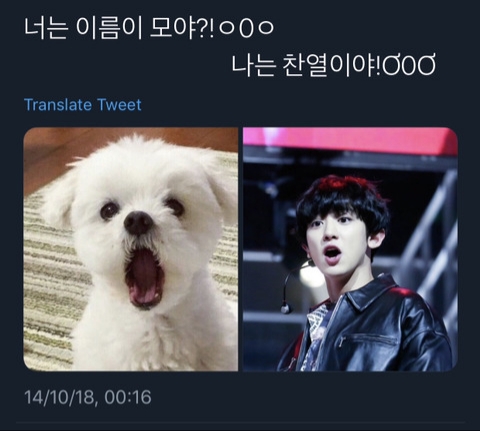 엑소 ㅌㅇㅌ 그거 | 인스티즈