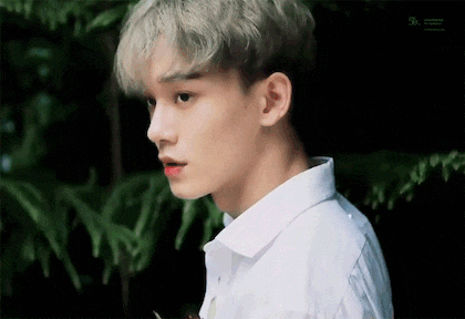 와 진짜 첸 잘생김 | 인스티즈