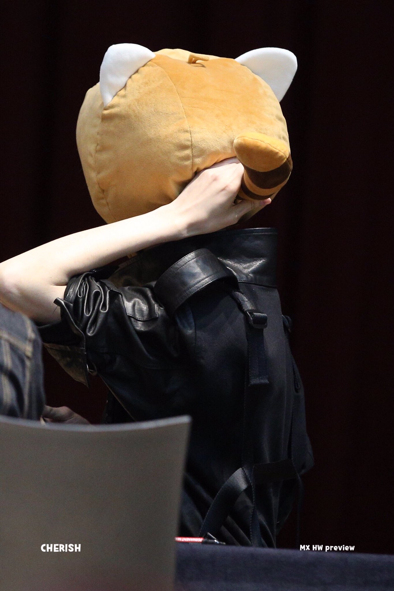 그런 얼굴로 모자 뒤에가 더 귀엽다면서 꼬리를 흔드는 당신은... | 인스티즈