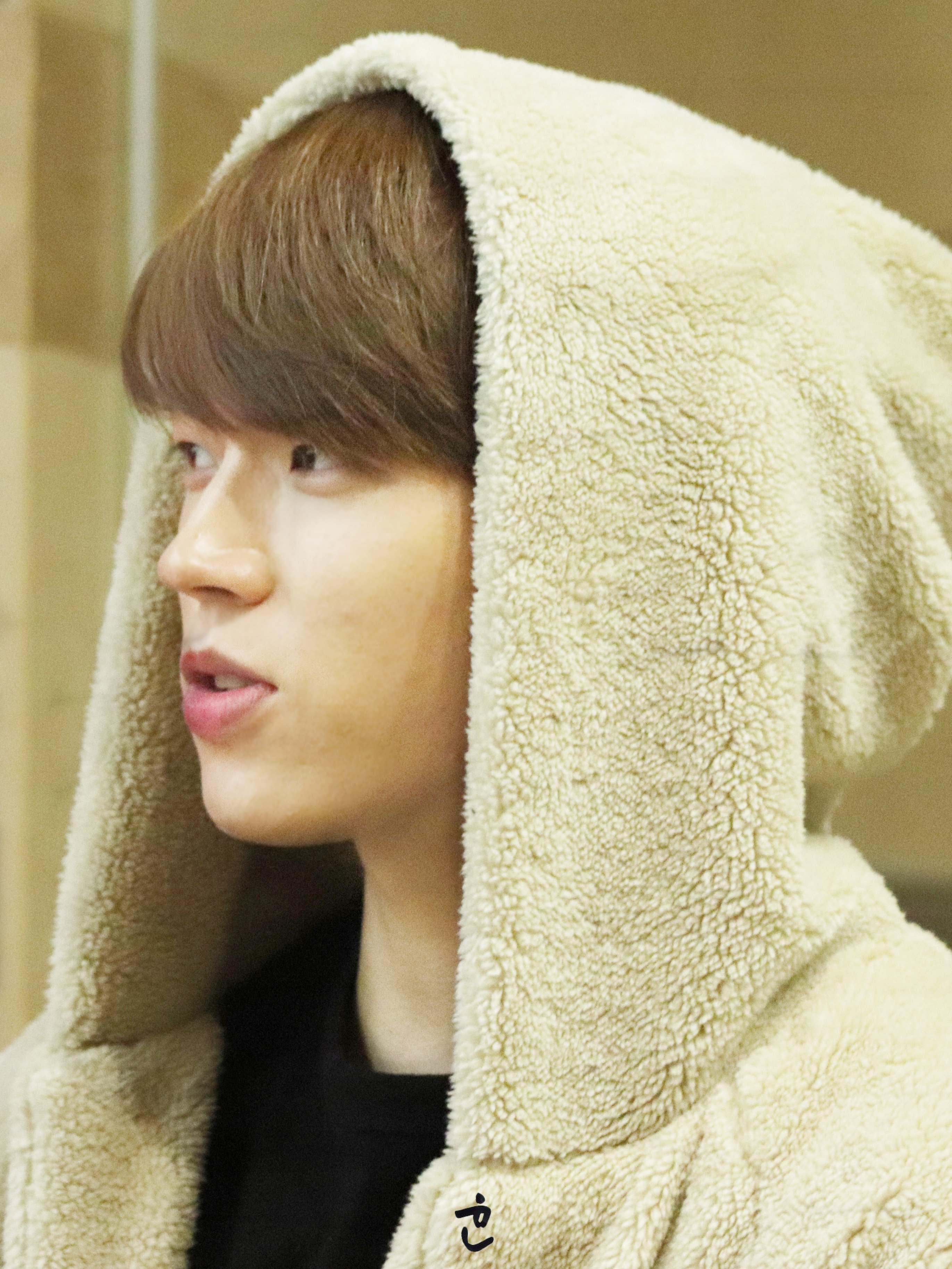 콧대 보험들어라 진짜 | 인스티즈