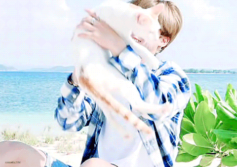 걍양이가 고양이랑 노는 사진 | 인스티즈