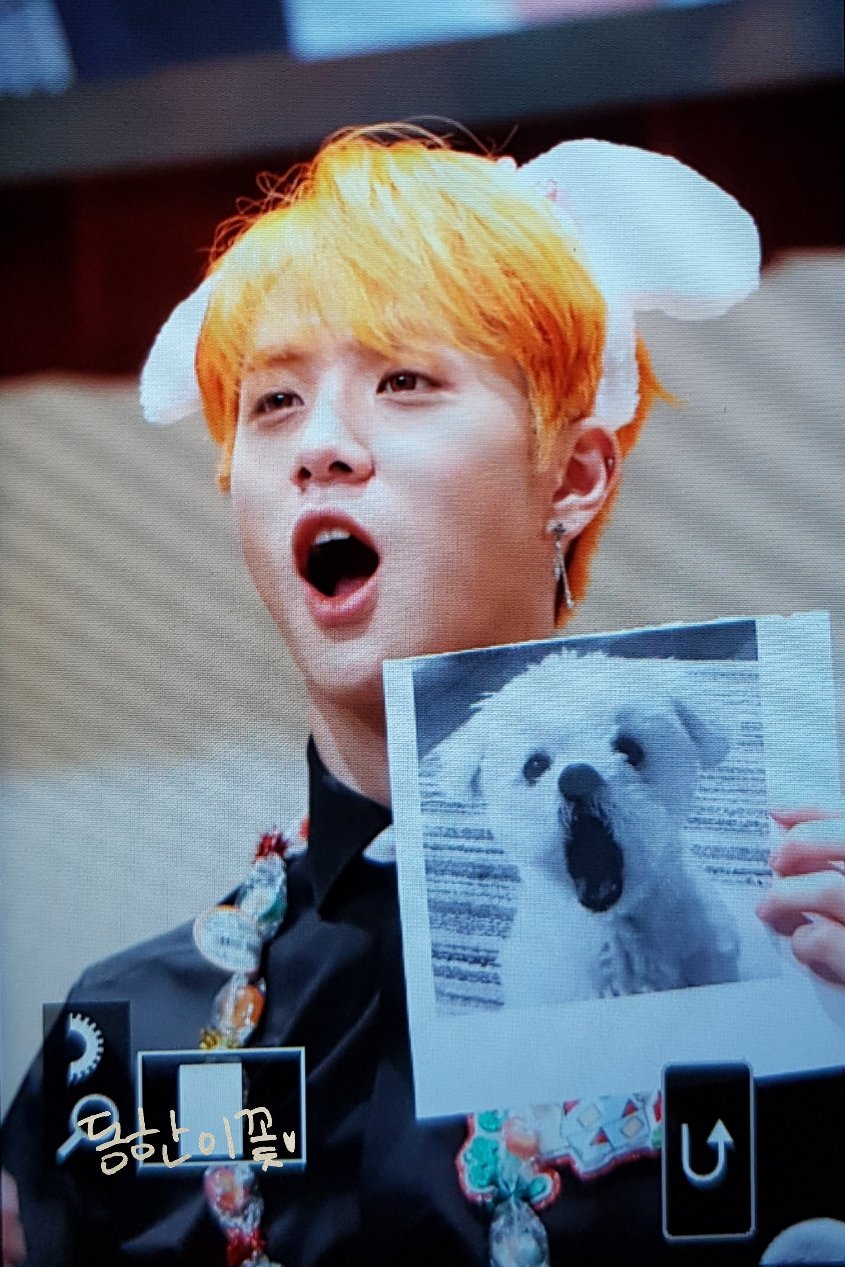 김동한 ㄹㅇ 강아지 아니야?????????¿ | 인스티즈