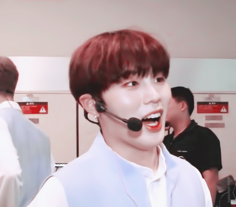 화난 뽀메 보고싶어😢😢(주어 하성운 | 인스티즈