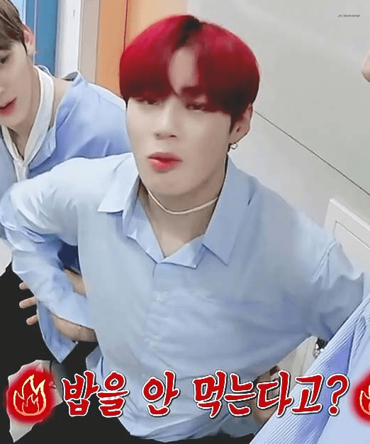 화난 뽀메 보고싶어😢😢(주어 하성운 | 인스티즈