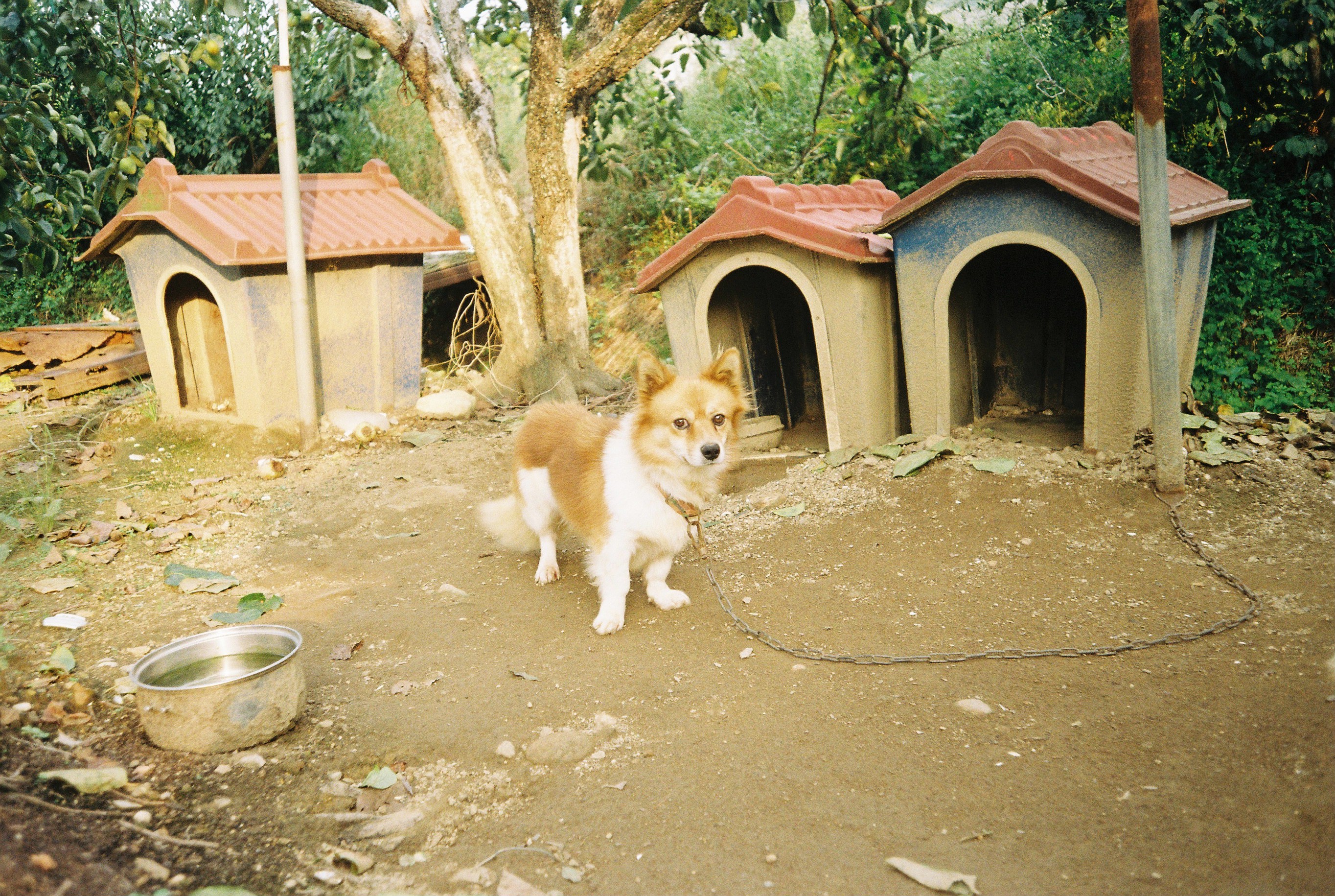 잠이 안 오니까 필카 40 📸📷 사진 많음 | 인스티즈