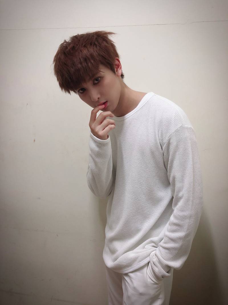 할로윈 캐릭터 과몰입甲 | 인스티즈