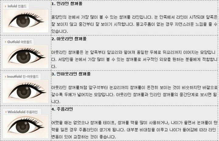 익들 쌍커풀은 몇 번 이야? | 인스티즈