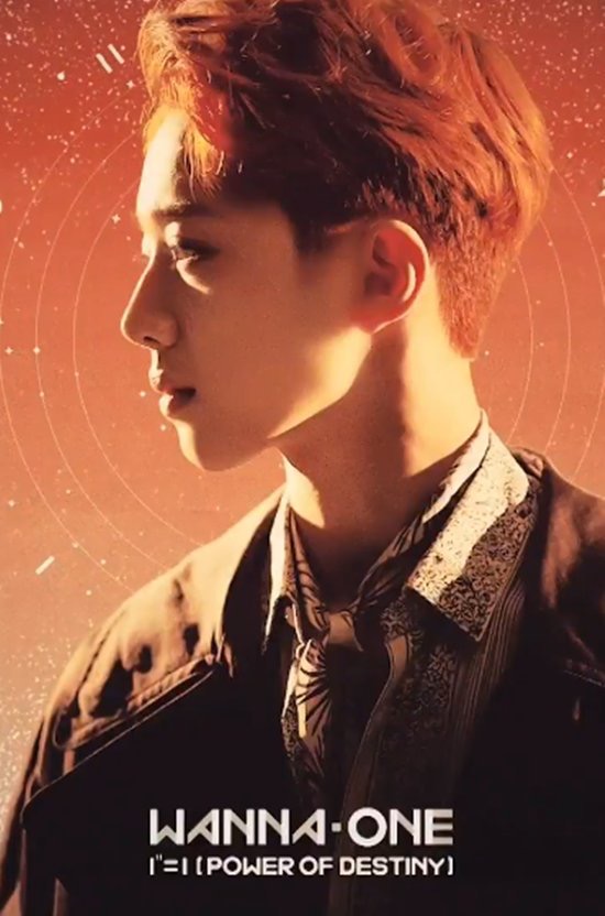 와 라이관린 이 사진 봐봐 | 인스티즈