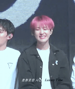 타팬들은 호시 호랑이같아? 햄찌같아? | 인스티즈