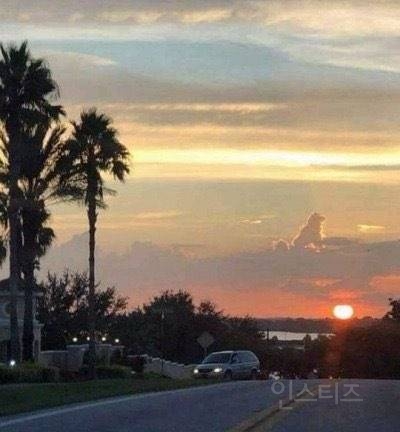 주인님 전 여기서 잘 지내고 있어요.jpg | 인스티즈