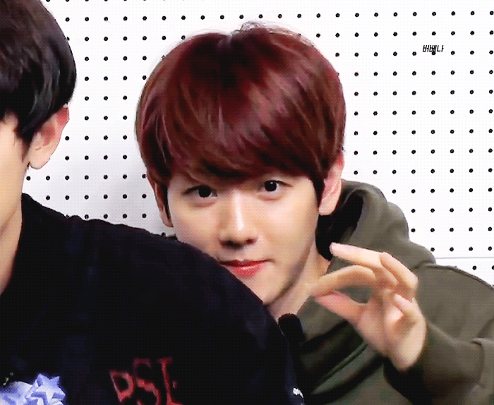 백현 오늘브이앱 ㄹㅇ이날 생각낰ㅋㅋㅋㅋㅋㅋㅋㅋㅋㅋㅋ | 인스티즈