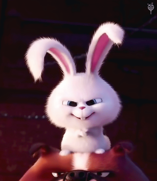 얘 이름이 뭐야???? | 인스티즈