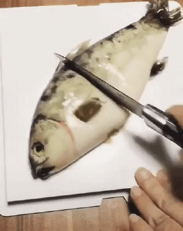 이렇게 생긴 붕어빵 먹을수 있다 vs 없다....gif (놀랄수있습니다) | 인스티즈