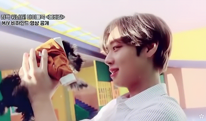 워너원 뮤비촬영현장이랑 행사 대기실 따라다니는 애 있음... | 인스티즈