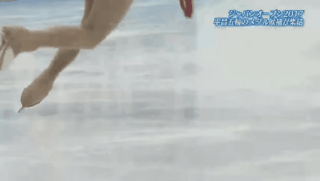 [피겨기술-싱글] 러츠와 플립 궤적 | 인스티즈