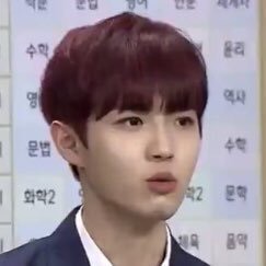 재환아 너는 강아지란다 | 인스티즈