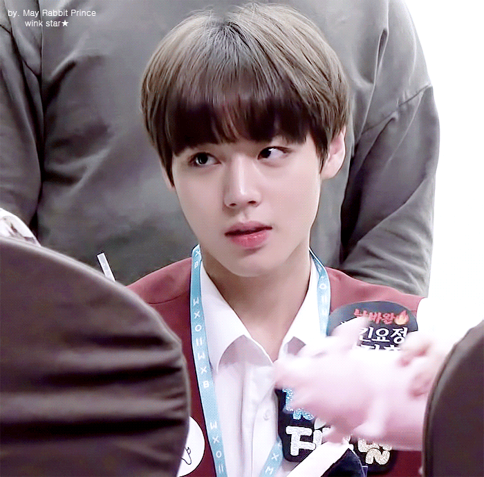 그 박지훈 돼지로 팬 관심끄는 짤 ㄹㅇ팬아저야 | 인스티즈