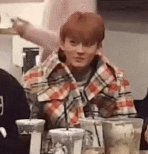 탄들아 끌올 미안한데 | 인스티즈