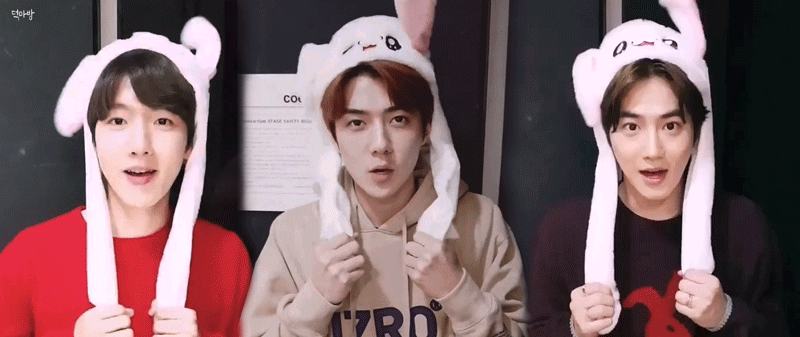 뭐야 방탄 토끼모자 썼대?? | 인스티즈