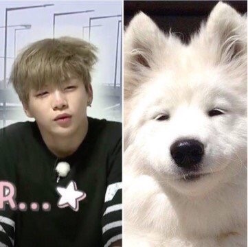 솔직히 강다니엘이랑 제일 닮은거 | 인스티즈