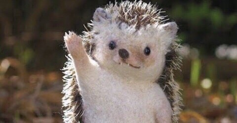 마! 탄소우나! | 인스티즈