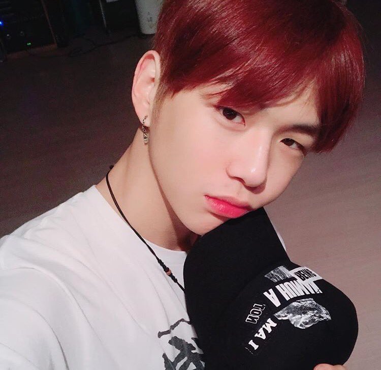 내가 못잃는 프듀 움짤 사진 풀게 | 인스티즈