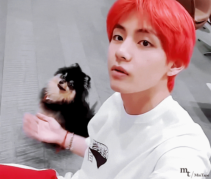 💜우리 연탄이 사랑해~💜짤털글 | 인스티즈