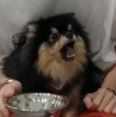 탄들아 탄들아 탄들아 | 인스티즈