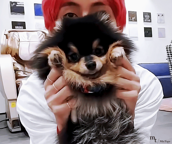 방탄 멜뮤로 유입 늘어난 거 진심 느껴진다... | 인스티즈