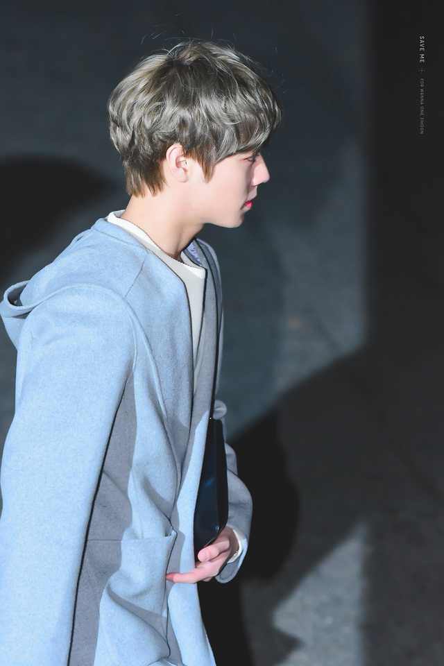 박지훈 이 사진 뭔가 보바통 같아 | 인스티즈