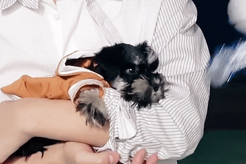 솔직히 내 최애 그림 못그림 | 인스티즈