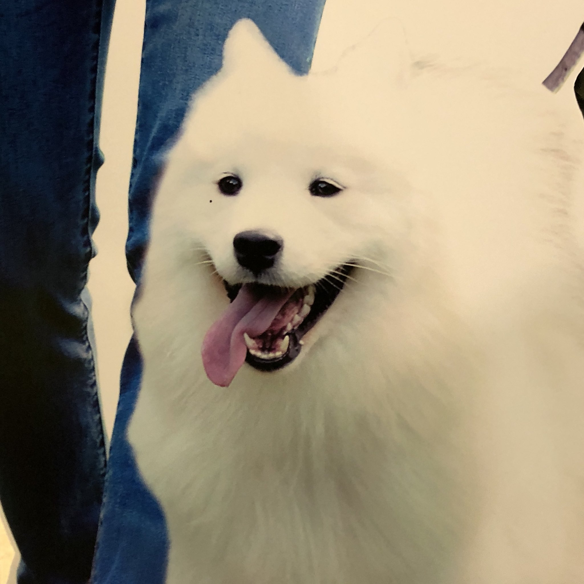 오늘자 강다니엘 센스보소 | 인스티즈