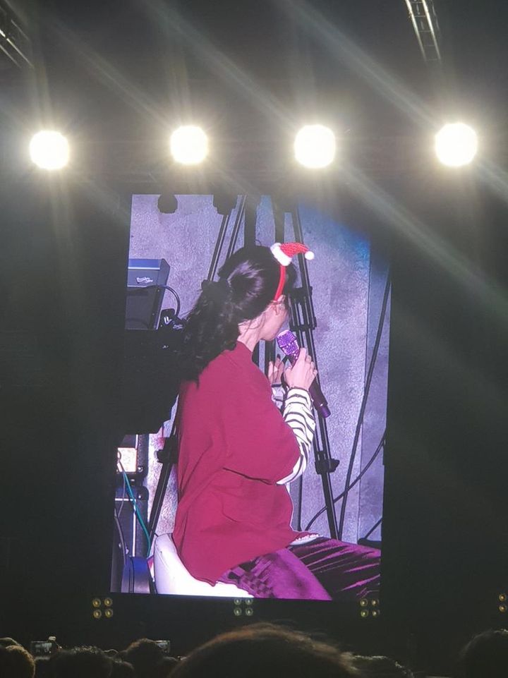 지금 아이유 홍콩콘 의상 귀엽다.. 크리스마스같아 | 인스티즈