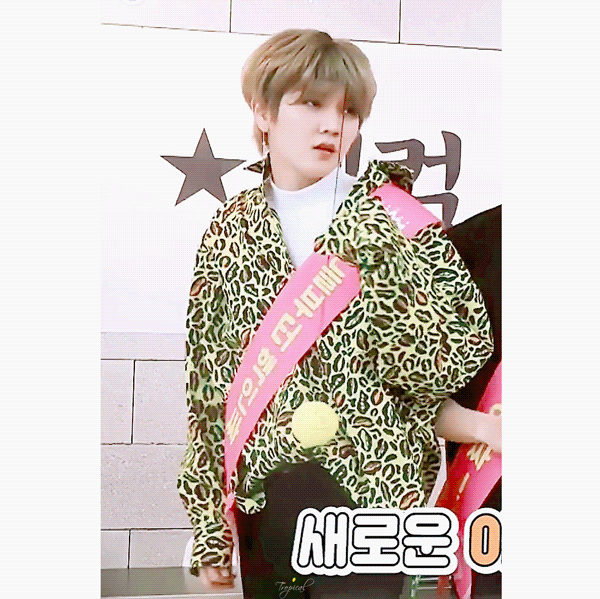 내본이지만 너무 귀엽고 하찮고 웃겨ㅋㅋㅋㅋ(뉴블 렌) | 인스티즈