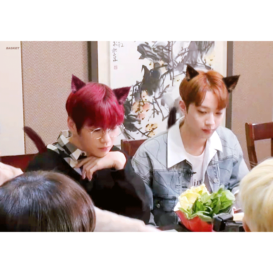 내 최애들❤ | 인스티즈