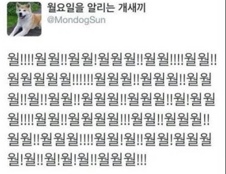 요즘 이 글 없어서 아쉽네 오늘같은날 등장해줘야지ㅎㅎㅎㅎㅎ | 인스티즈