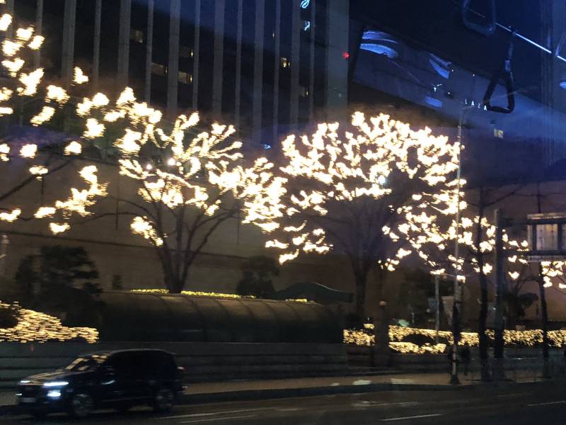 나 지금 서울인데 이것봐 이뿌지 | 인스티즈