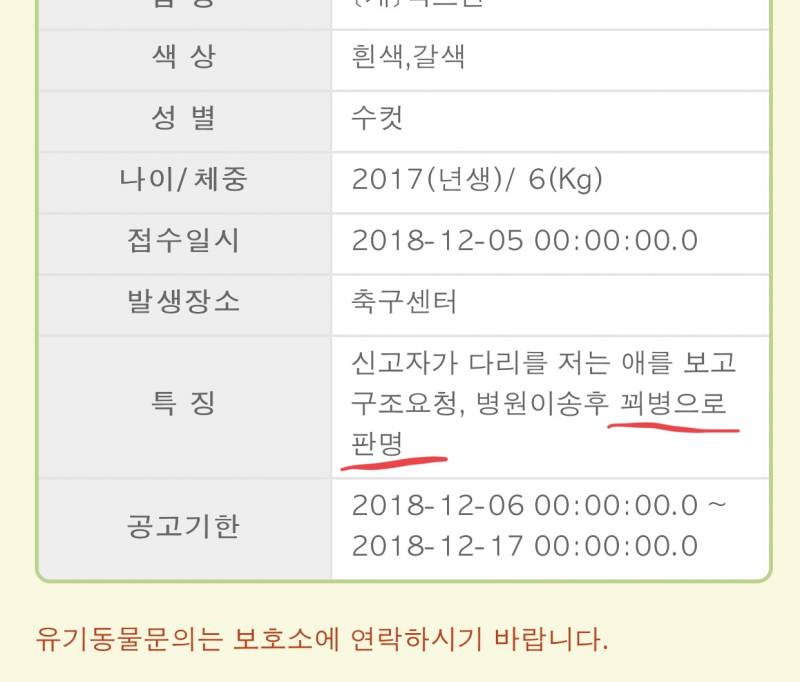 유기동물 공고 보는데 이거 뭐얔ㅋㅋㅋㅋㅋㅋㅋㅋㅋ | 인스티즈