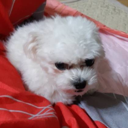 허윽 아빠 지금 울집 멈무랑 단 둘이 있는데 | 인스티즈