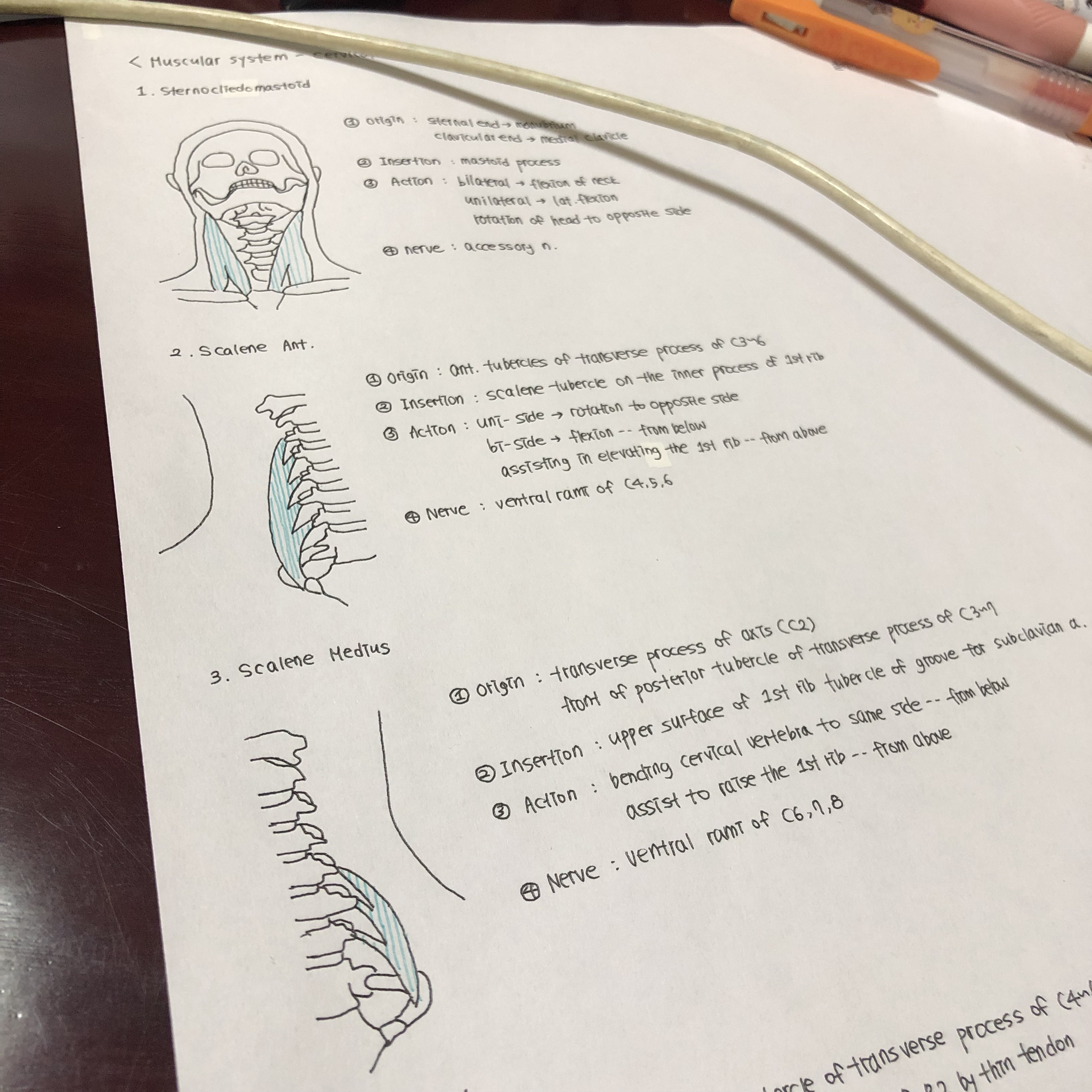 물리치료학과 오지 마... | 인스티즈